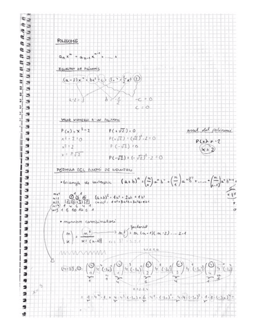 polinomis.pdf