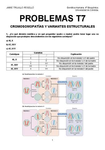 Problemas-T7-resueltos.pdf