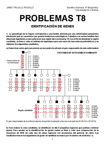 Problemas-T8-resueltos.pdf