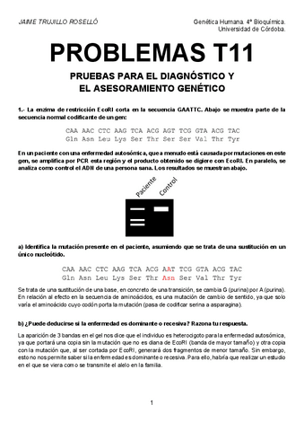 Problemas-T11-resueltos.pdf