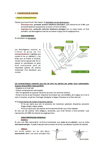 FANEROGAMES-MARINES.pdf