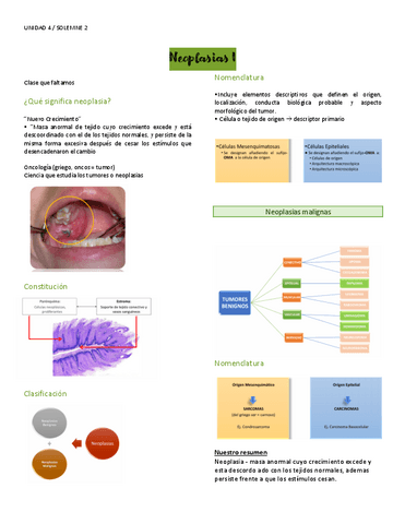 Odontologia-NeoplasiasI.pdf