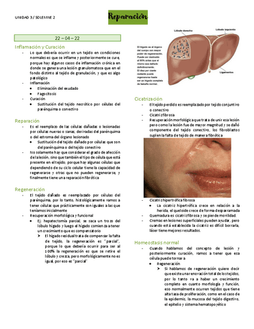 Odontologia-ReparaciondeInflamacion.pdf
