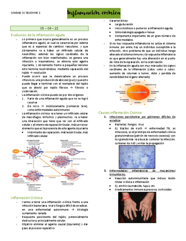 Odontologia-Inflamacioncronica.pdf