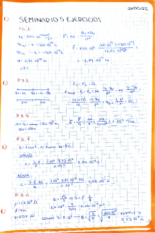 EJERCICIOS-SEMINARIO-5.-FISICA.pdf