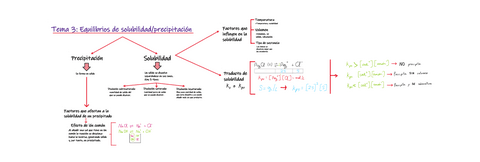 Tema-3.-Equilibrios-de-solubilidad-y-precipitacion.pdf