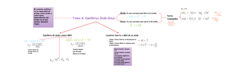 Tema-4.-Equilibrios-Acido-Base.pdf