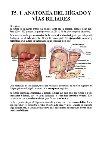 T5.1-Anatomia-del-higado-y-vias-biliares.pdf