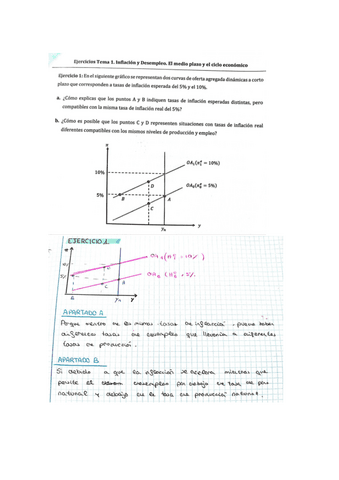 EJERCICIOS-TEMA-1.pdf