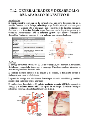 T1.2.-Generalidades-y-desarrollo-del-aparato-digestivo-II.pdf