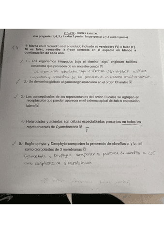 examen-enero-algas.pdf