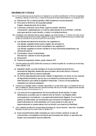 2-Ejercicios-CELULA-EVAU.pdf