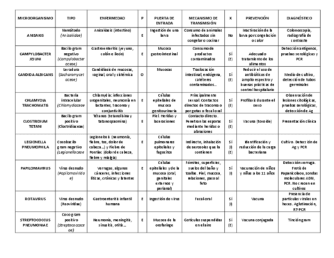 MICROORGANISMOS-TABLA.pdf