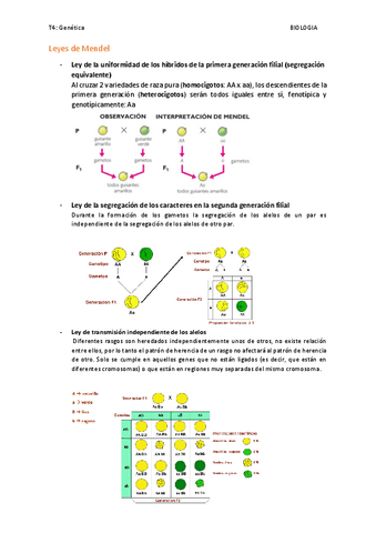 Tema-4-genetica.pdf