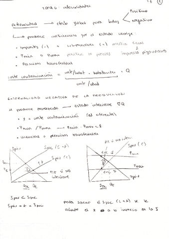 Parcial 2 Temas 6-10 apuntes.pdf