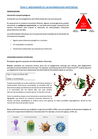 t3-fisiopato.pdf