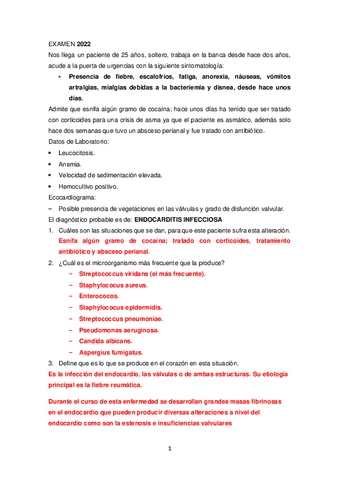 examen-dia-11-de-febrero-2022-hecho.pdf