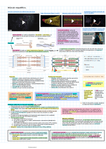 Musculo-esqueletico.pdf