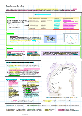 Somatosensorial-y-dolornervioso.pdf