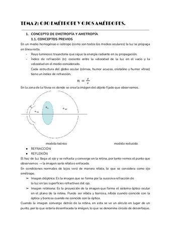 TEMA-2.pdf