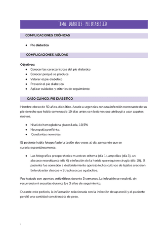 SEMINARIO-PIE-DIABETICO-2.pdf