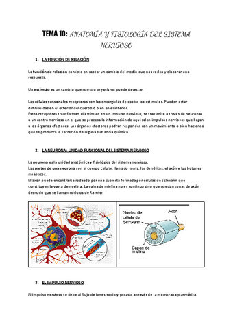 Tema-10-Anatomia-y-fisiologia-del-aparato-nervioso.pdf