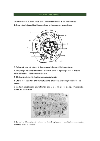 EXAMEN-CELULA.pdf