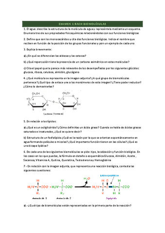EXAMEN-BIOMOLECULAS.pdf