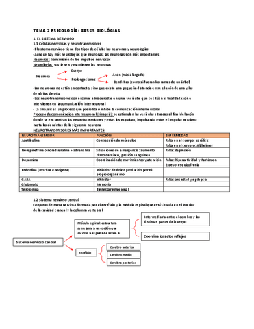 TEMA-2-PSICOLOGIA.pdf