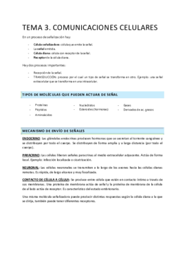 T.3 Comunicaciones celulares.pdf