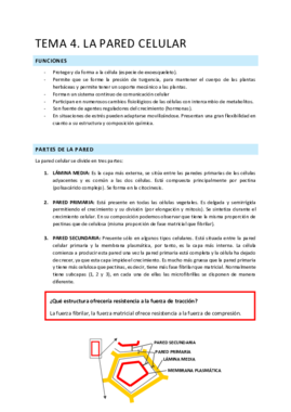 T.4. la pared celular.pdf