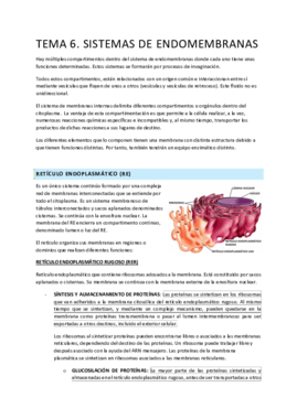 T.6 sistema de endomembranas.pdf