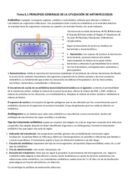 Tema 6.pdf