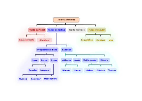 Clasificacion-de-los-tejidos.pdf