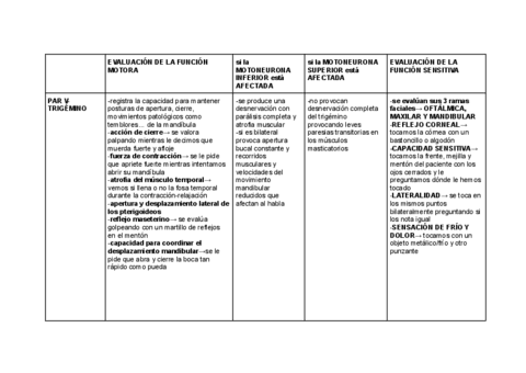 tabla-pares-craneales-1.pdf
