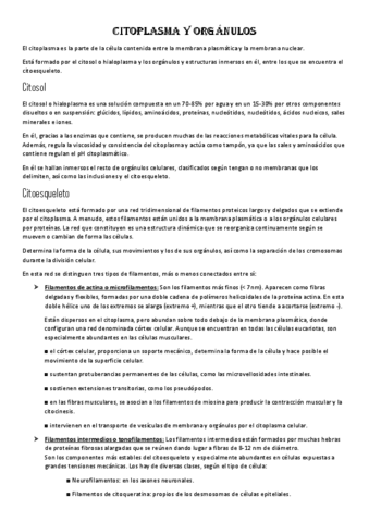 Citoplasma-y-organulos.pdf