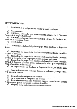 Tema 5.pdf