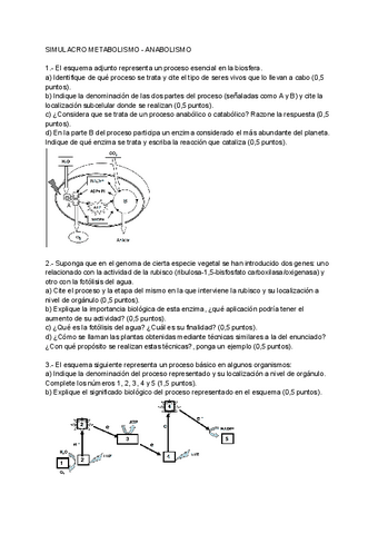 SIMULACRO-METABOLISMO-ANABOLISMO.pdf