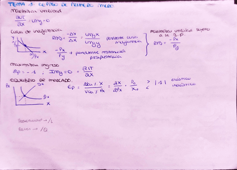 Esquema-resumen-por-temas-Microeconomia-Intermedia.pdf