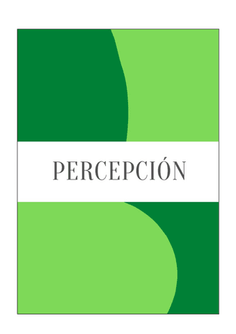 Apuntes Percepcion Visual Pdf