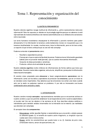 Tema-1-Ruben-Sanz.pdf