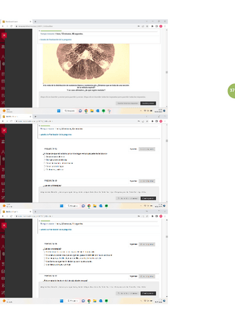 examen-pediatria-7.pdf