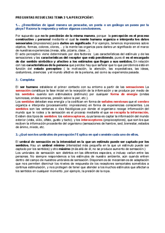 Preguntas-examen-Percepcion.pdf