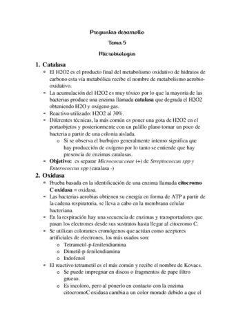 Desarrollo-tema-5-micro-.pdf