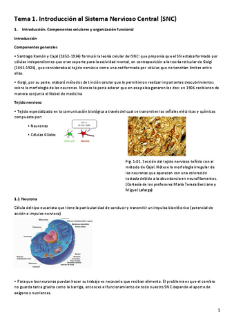 apuntes-anatomia-del-sistema-nervioso.pdf