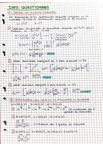 Questionaris-procediment.pdf