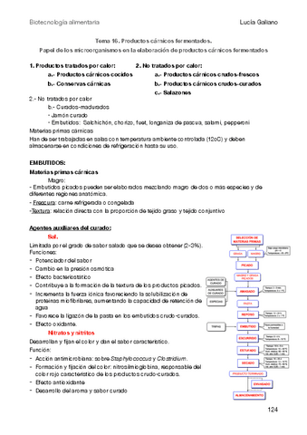 Biotec-Alimentaria-T16.pdf