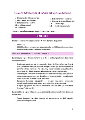 Tema-1.pdf