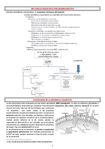 SR6-ANEMIAS-HEMOLITICAS-POR-MEMBRANOPATIAS.pdf