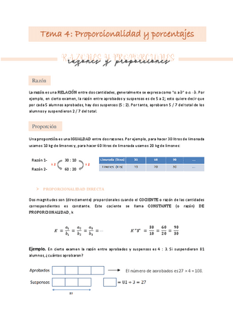 Tema-4-Matematicas-y-su-Didactica-I.pdf